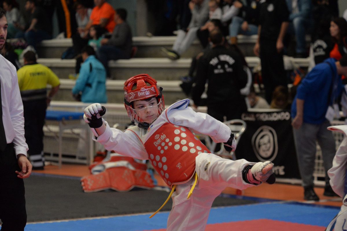 Open Internacional Cidade de Pontevedra de Taekwondo 2015