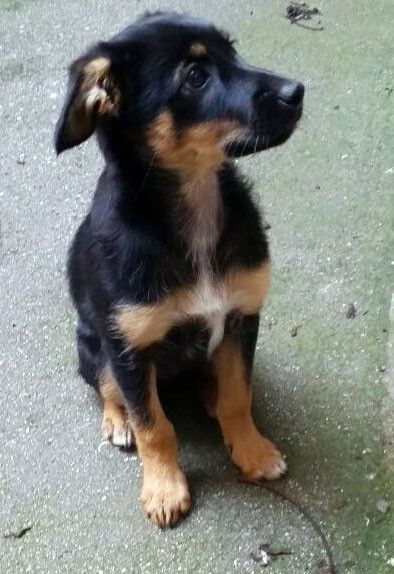 Nell fue encontrado en un contenedor de basura