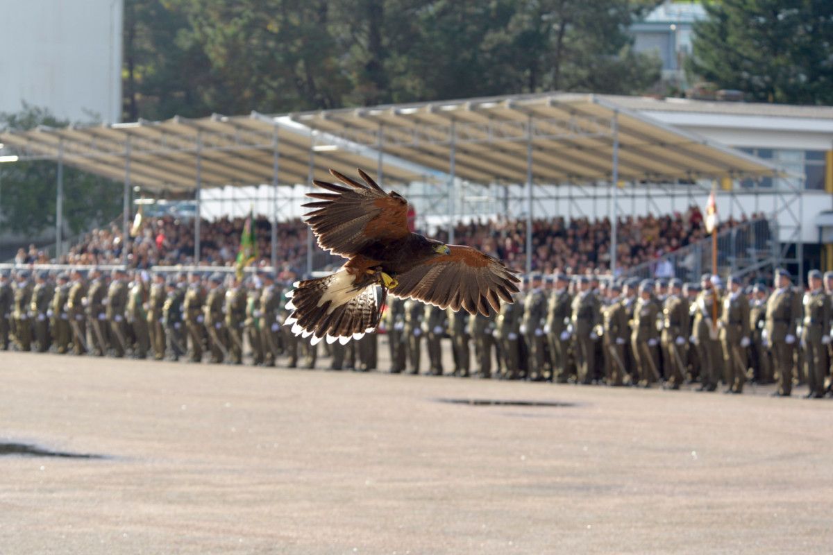 Parada militar da Inmaculada 2015