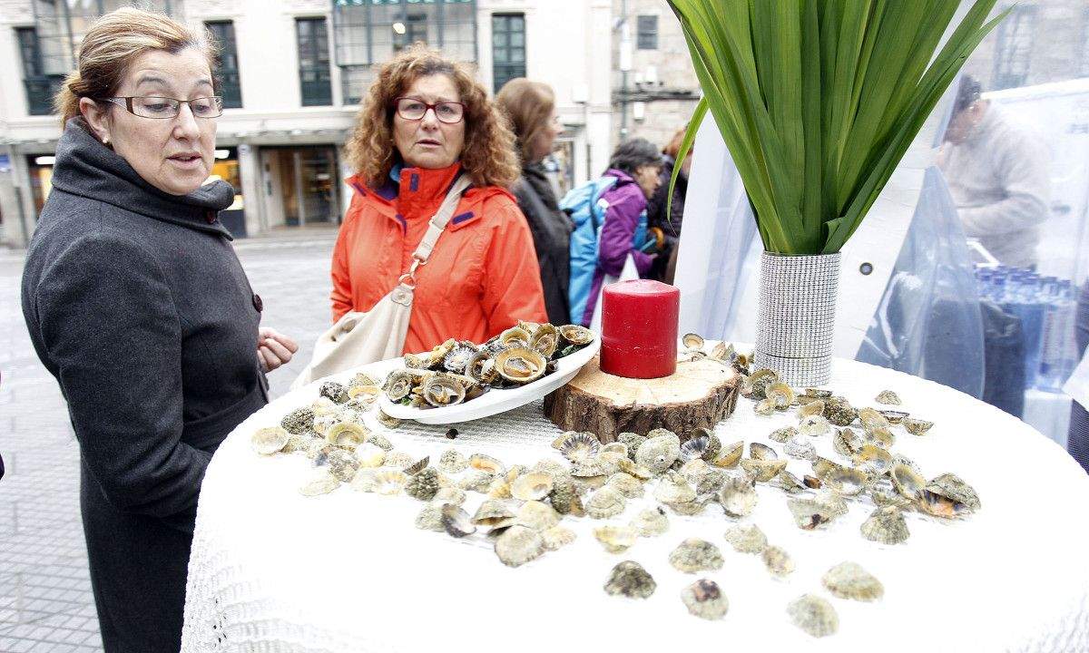 Cata de lapas