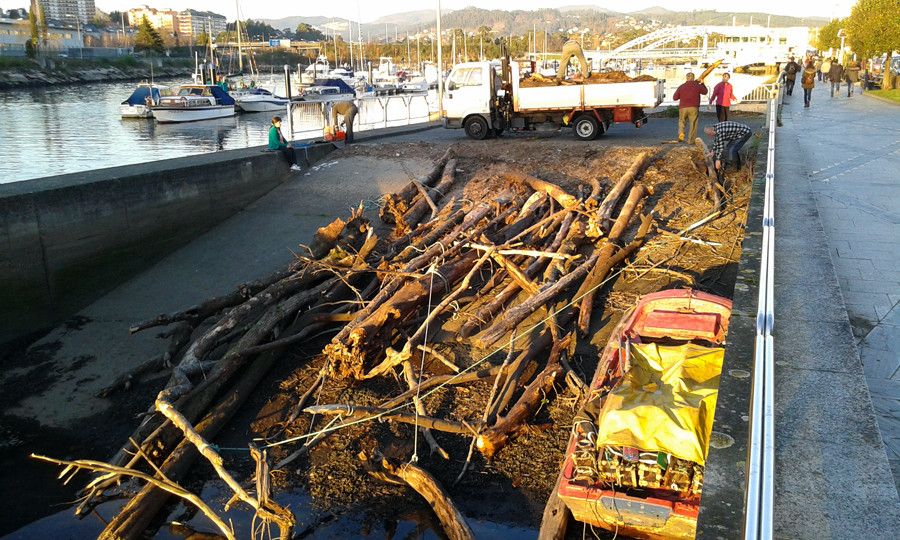 Recogida de troncos en el río Lérez