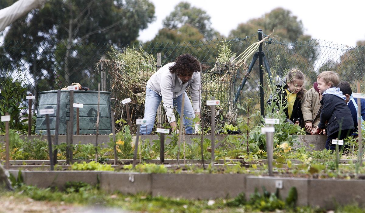 Huerta urbana de Monte Porreiro