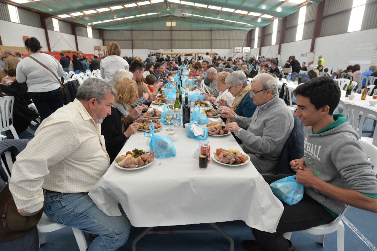 Festa do Petote 2016