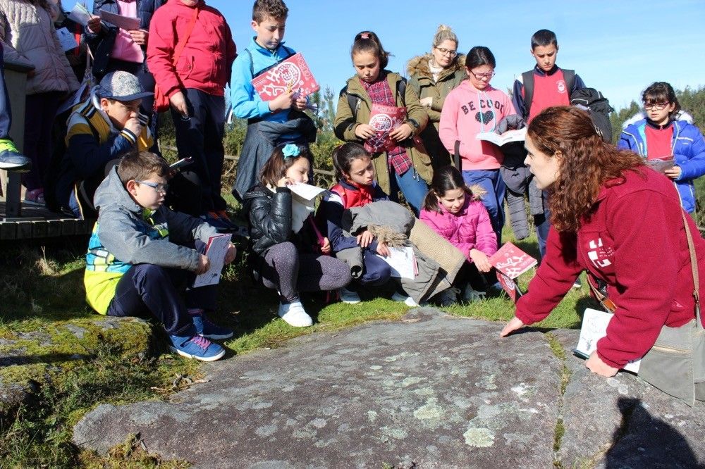 Visita a área arqueolóxica de Tourón Visita a área arqueolóxica de Tourón