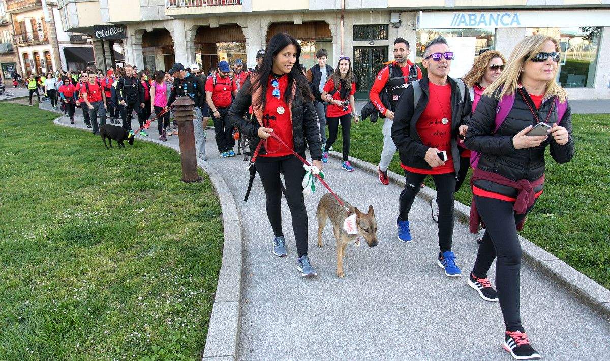 Participantes en la Pontevedrada 2016