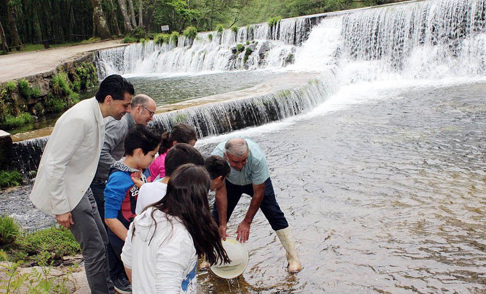 Alumnos do CEIP Cordo Boullosa de Ponte Caldelas soltan mil alevíns de troita no río Verdugo
