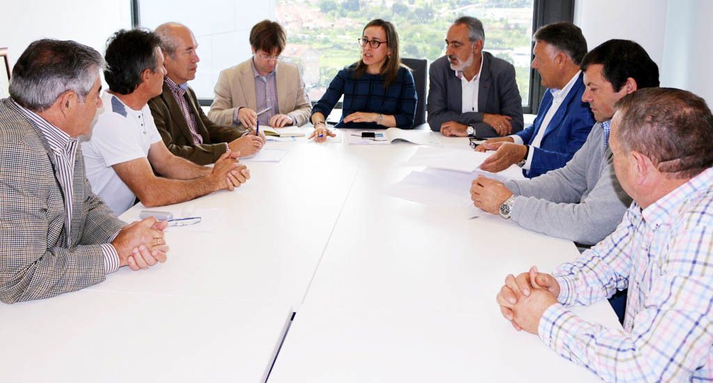 Reunión de la Plataforma de la PO-308 con la conselleira