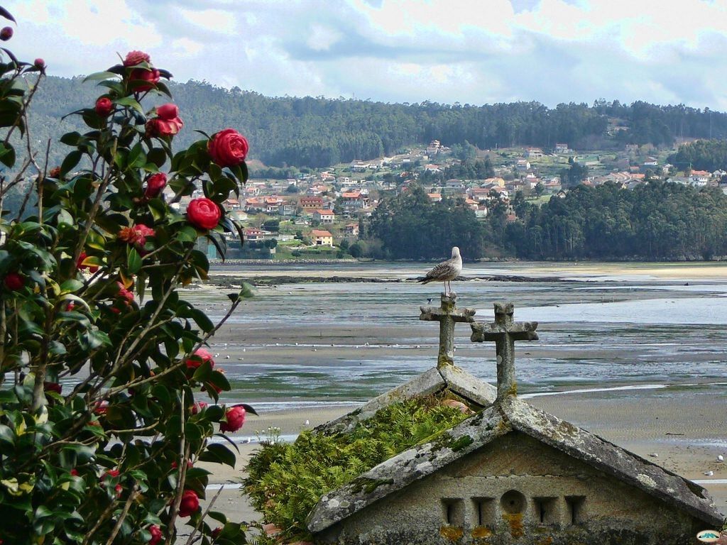 Vista de la ría de Pontevedra desde Combarro