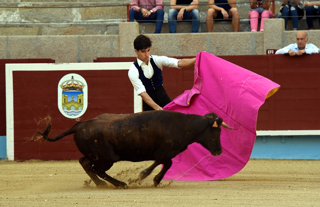 Tentadero en la plaza de toros de Pontevedra