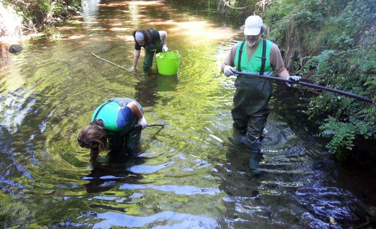 Limpeza voluntaria do río Gafos, a cargo de Vaipolorío
