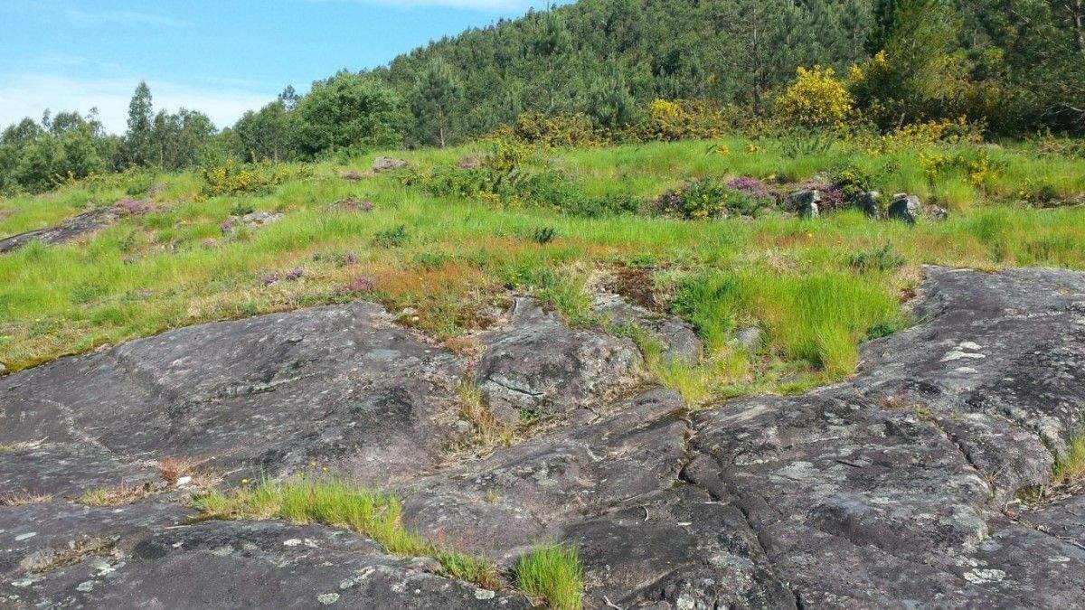 Área arqueolóxica de Tourón Área arqueolóxica de Tourón