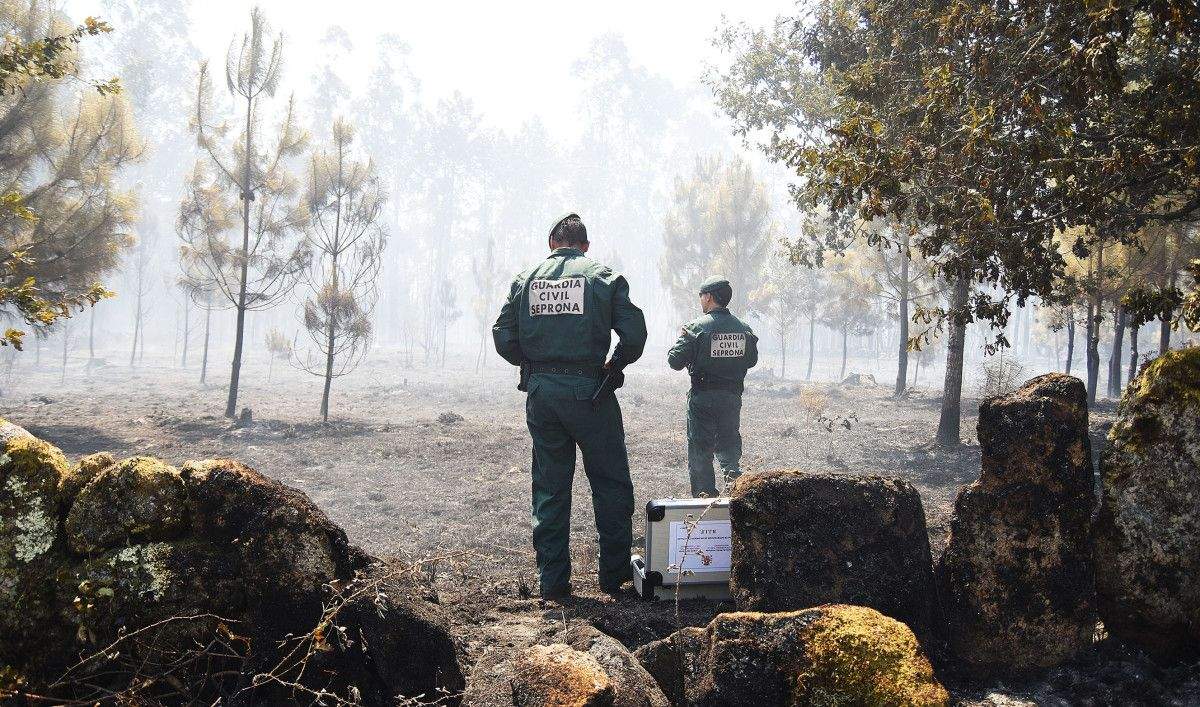O Seprona investiga o incendio de Tenorio, en Cotobade O Seprona investiga o incendio de Tenorio, en Cotobade