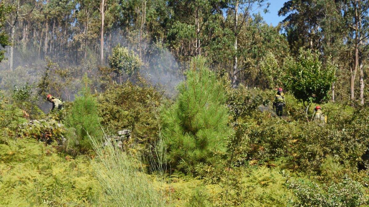 Incendio forestal en Castelo (Lérez)