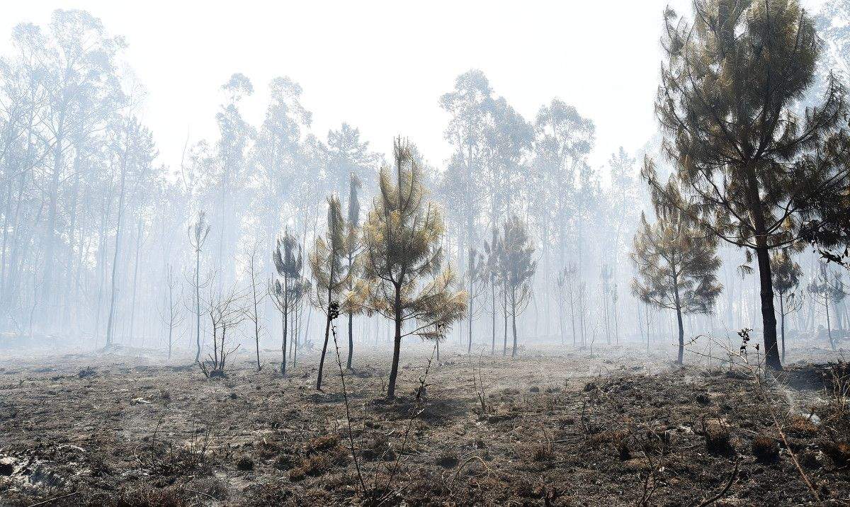 Montes quemados en Cotobade después de los incendios de agosto
