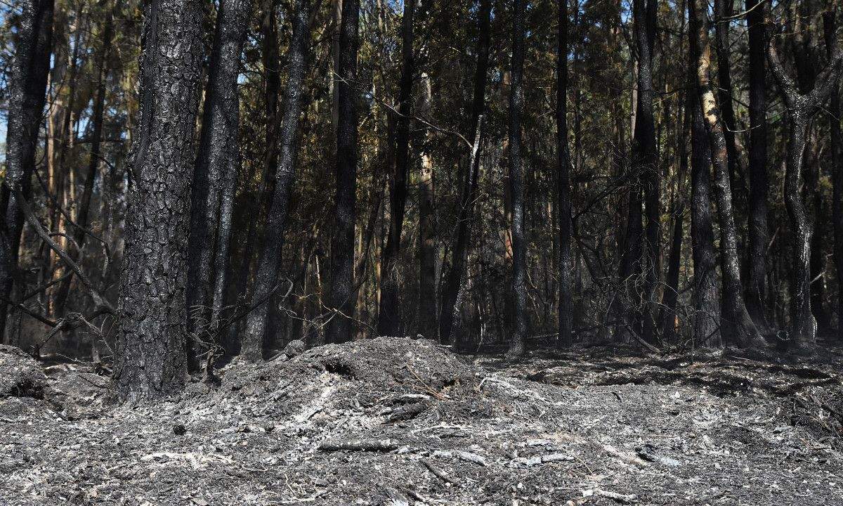 Montes queimados en Cotobade despois dos incendios de agosto Montes queimados en Cotobade despois dos incendios de agosto