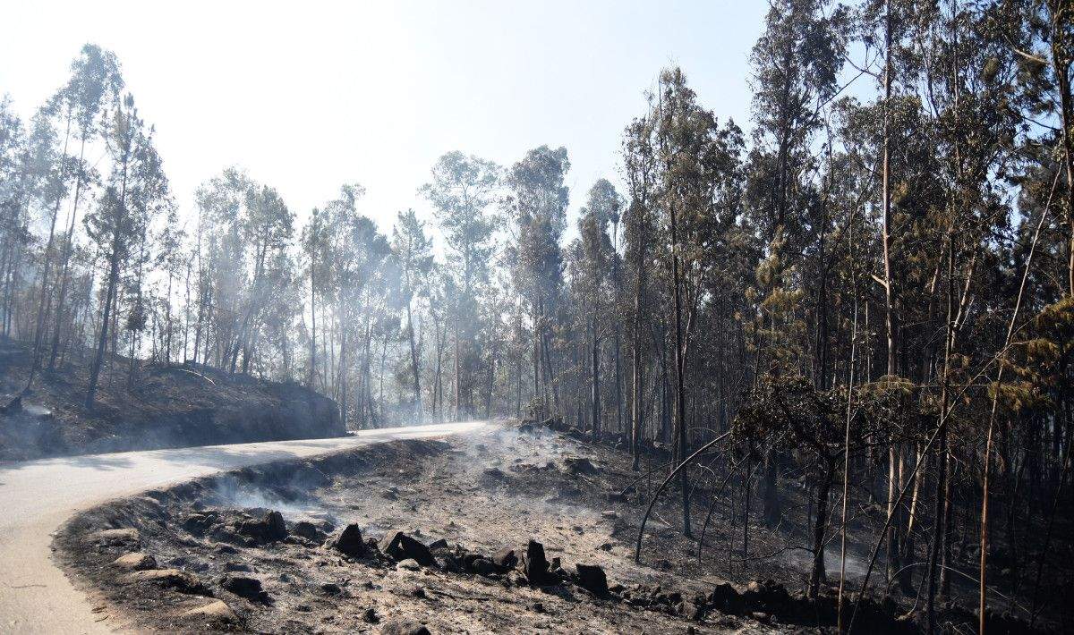 Montes queimados en Cotobade despois dos incendios de agosto