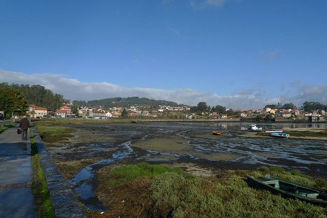Campelo