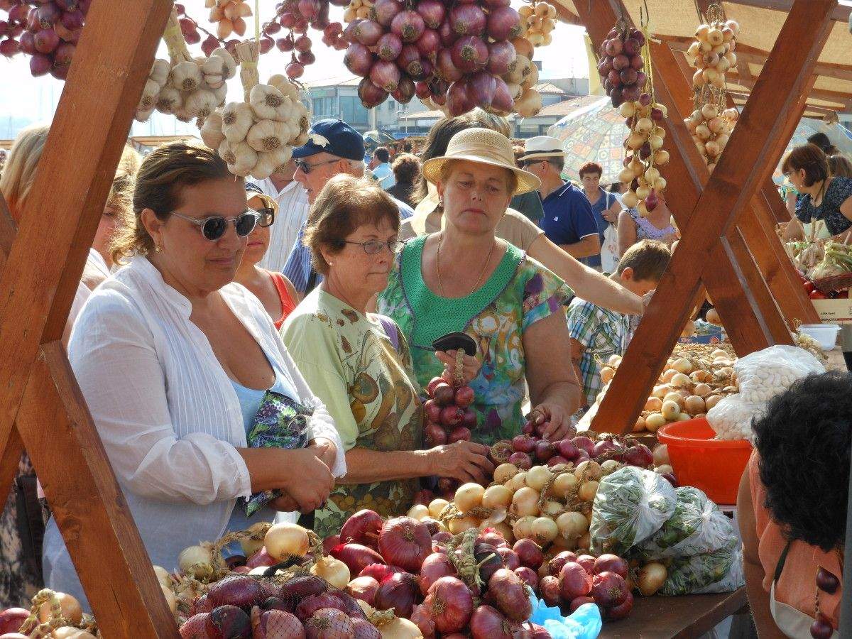 Festa da Cebola