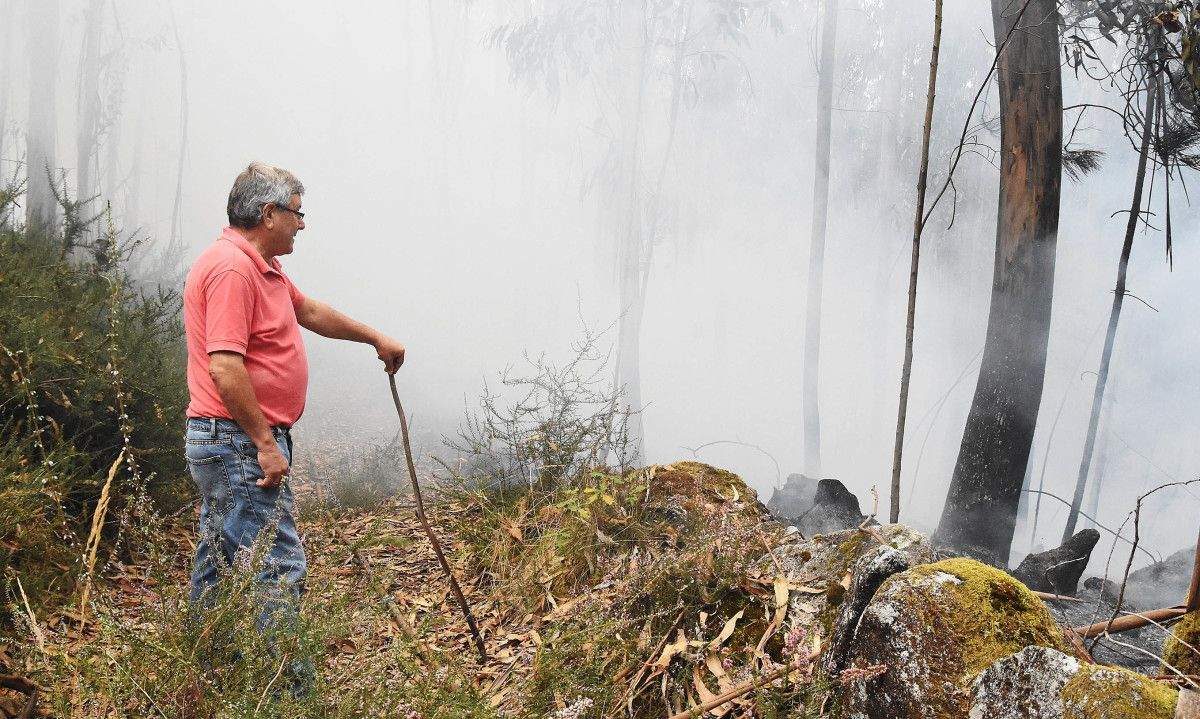 Tarefas de extinción dun lume en Tomeza Tarefas de extinción dun lume en Tomeza