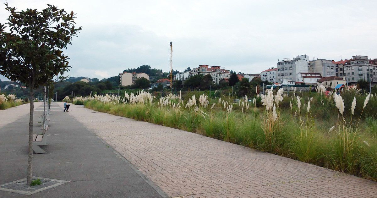 Parcelas da antiga Tafisa (arquivo)
