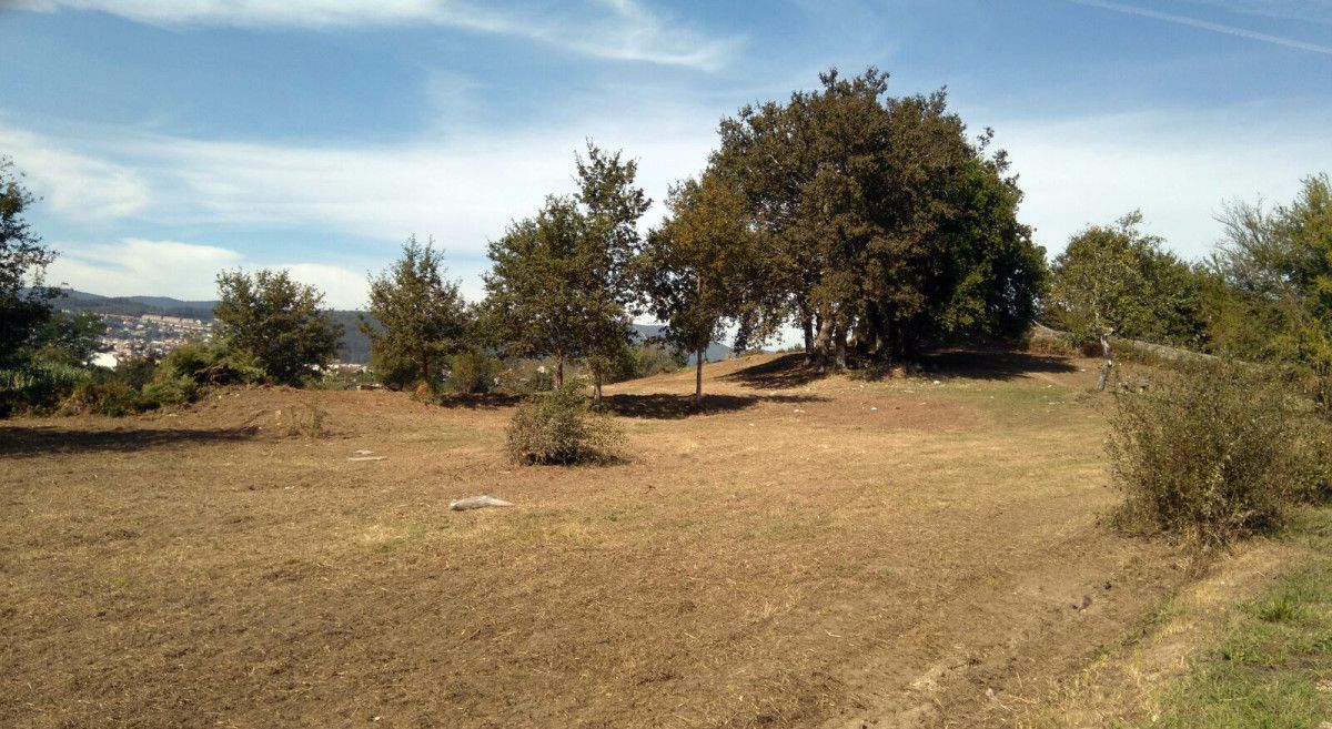Trabajos de desbroce y limpieza en el parque de Valdecorvos