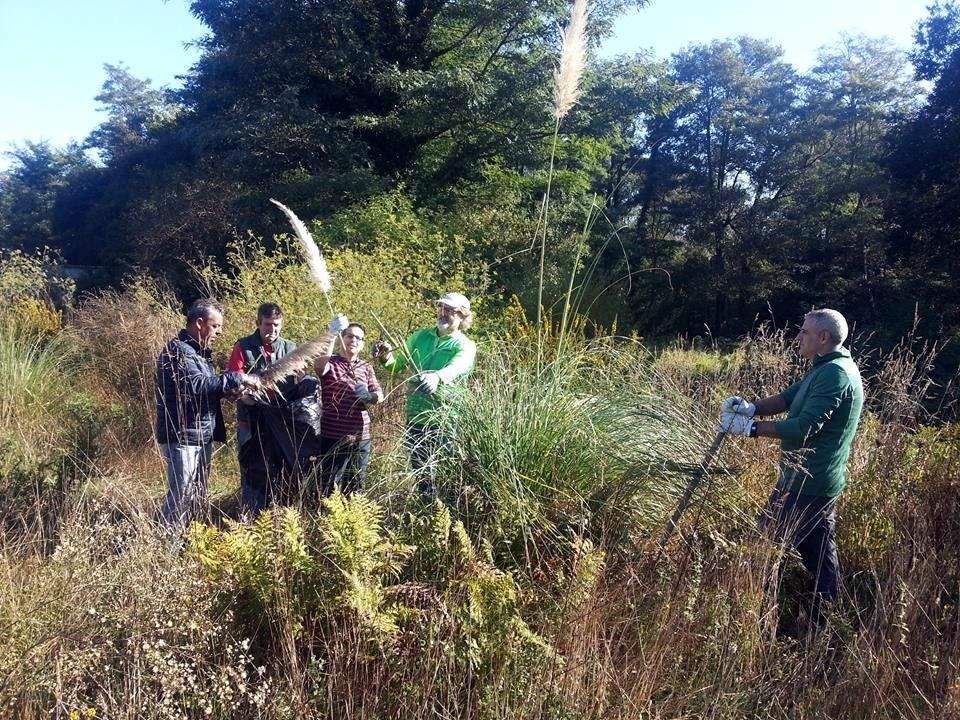 Vaipolorío na xornada contra a Herba da Pampa