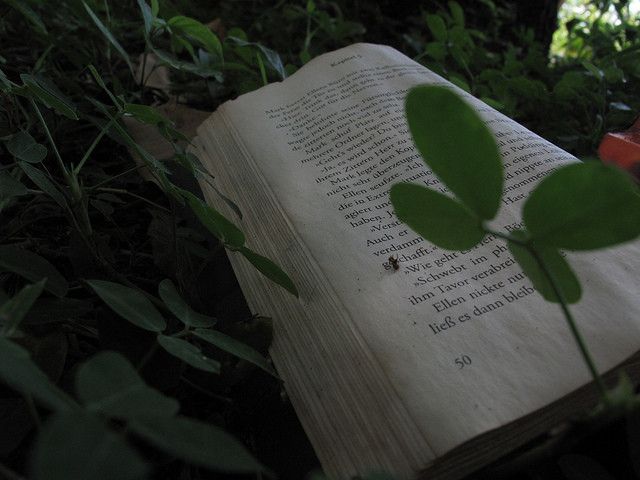 Libro