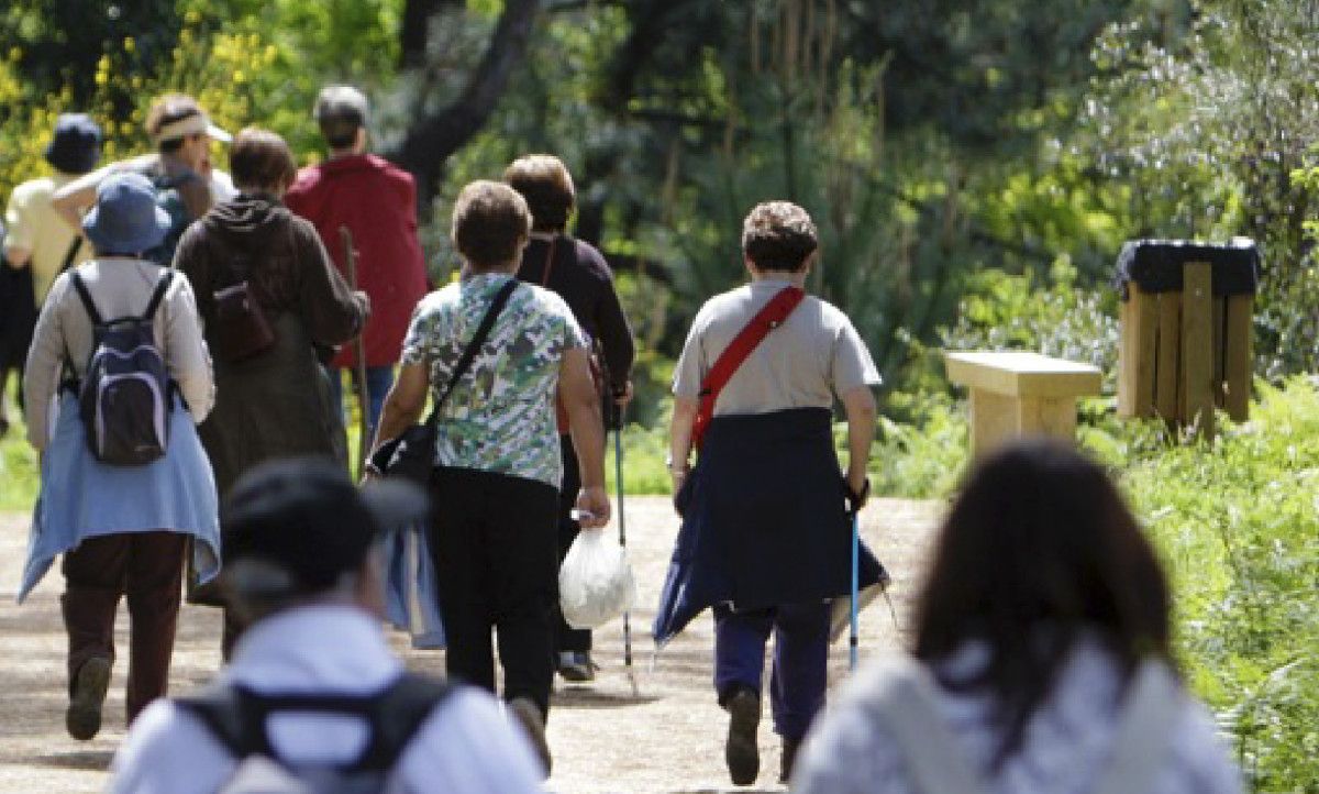 Participantes nas Depo andainas