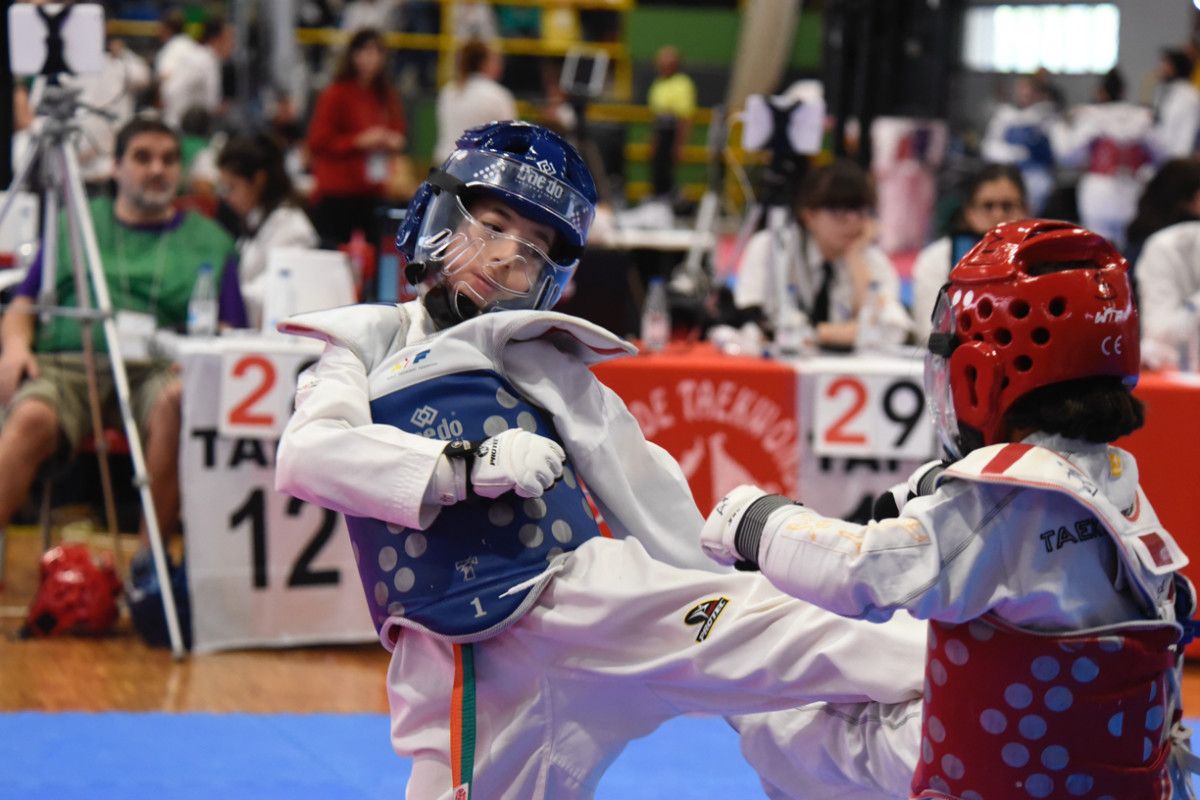 XIX Torneo Internacional Cidade de Pontevedra de Taekwondo