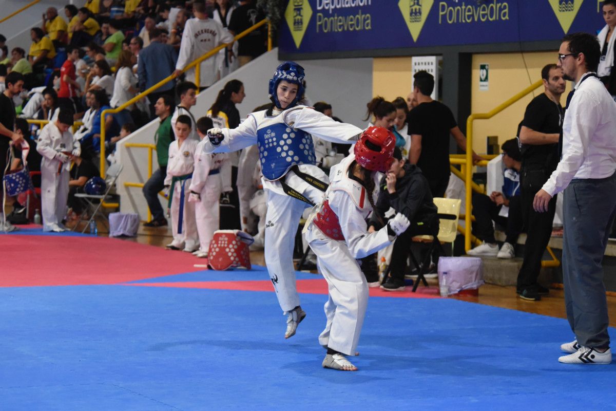 XIX Torneo Internacional Cidade de Pontevedra de Taekwondo