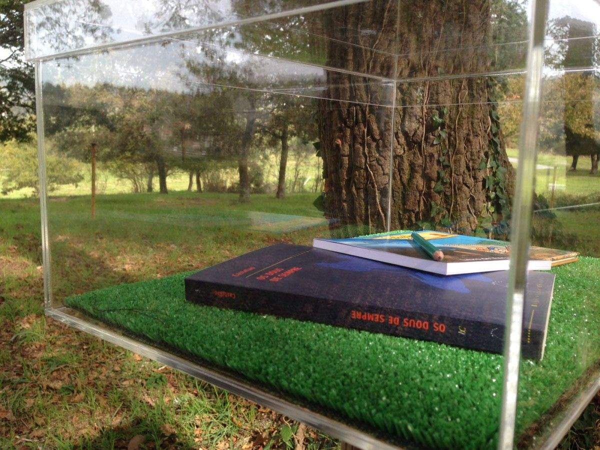 Iniciativa 'As Follas ao Aire' en Cotobade