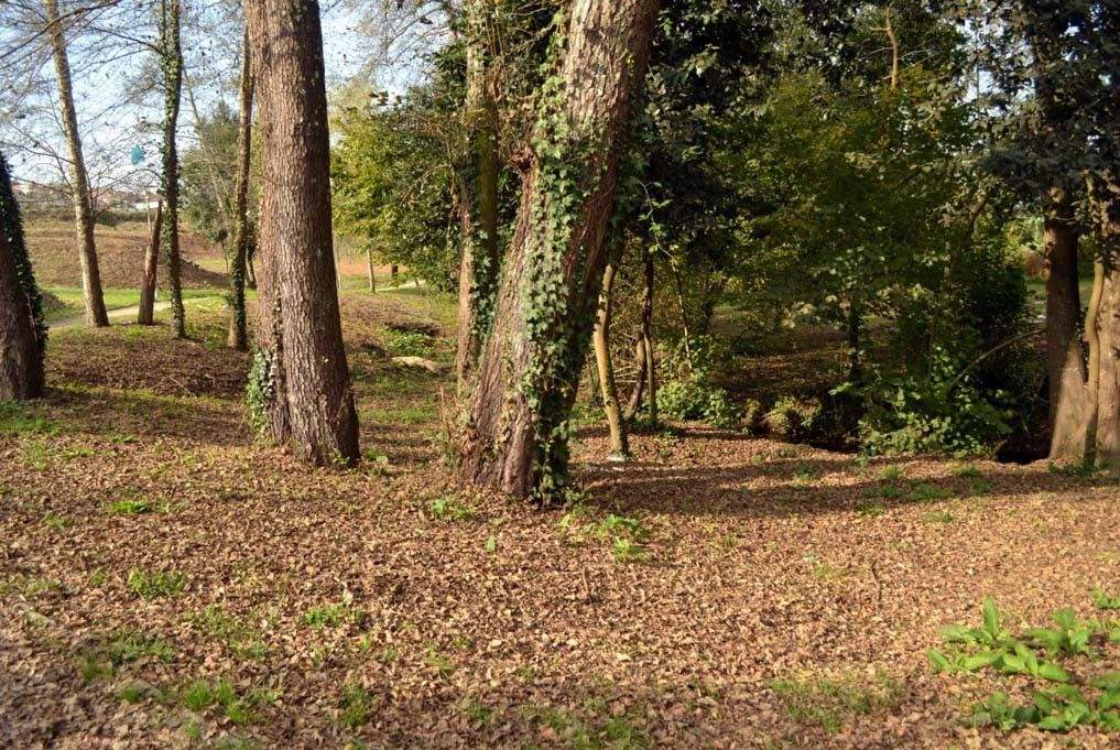 Parque de Valdecorvos, Pontevedra