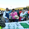 Marcha solidaria contra el cáncer celebrada en Pontevedra