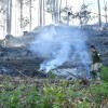 Incendio forestal moi próximo a unha vivendas en Vilaboa