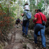 Caminata por el Monte Pituco