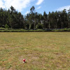 Campo de fútbol de A Devesa en Alba, reconvertido para la práctica del tiro con arco
