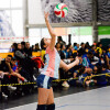 Campionatos galegos de voleibol