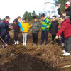 Plantación de cerdeiras dentro do proxecto 'Florece o Camiño'