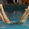 Campeonato Galego de natación artística 