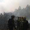 Incendio forestal orixinado no lugar de Ferreiros