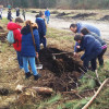 Plantación de cerdeiras dentro do proxecto 'Florece o Camiño'