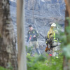 Incendio forestal muy próximo a una viviendas en Vilaboa