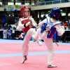 XXV edición del Campeonato Internacional Cidade de Pontevedra de Taekwondo