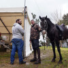 Miguel e o seu cabalo na romaría de San Cibrán 2024