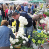 Mercado de flores de difuntos en A Ferrería