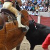 Toros de El Torero - Lola Domecq en la Feira Taurina de la Peregrina 2019