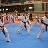 Pruebas de exhibición y freestyle Campeonato de España de clubes de taekwondo