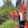 Intervención de los Servicios de Emergencia de Sanxenxo con motivo del viento de 'Miguel'