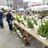 Mercado de flores de Todos los Santos en la Ferrería 2021