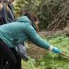 Estudantes de Pontevedra realizan tarefas de limpeza no río Gafos